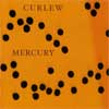 Read "Mercury" reviewed by AAJ Staff